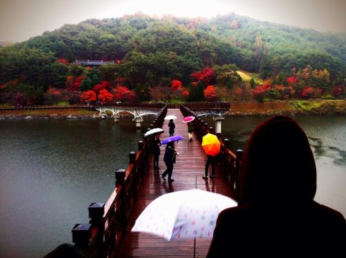 1479123_10202801634791846_1661209146_n